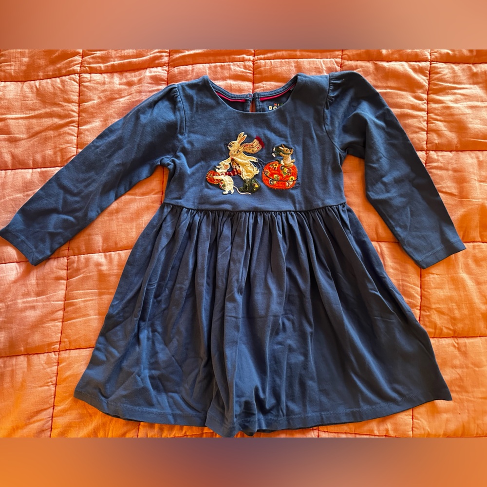 Mini Boden Blue Long Sleeve Dress with Embroidered Fall Animals